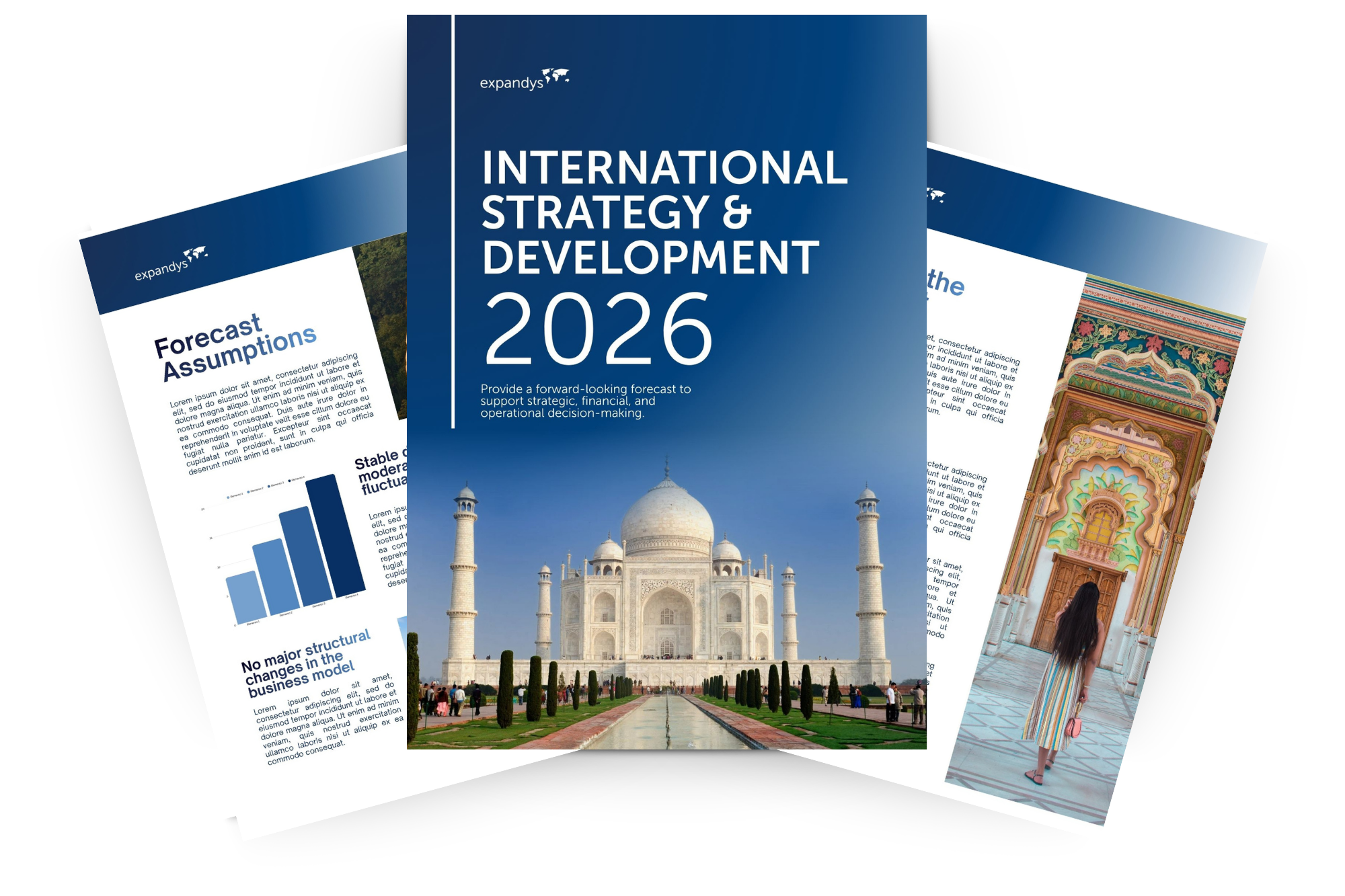 Your Strategic Roadmap to Business Expansion in India