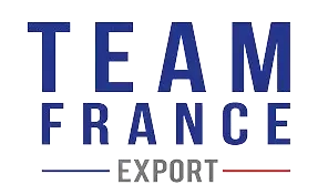 Team France Export logo