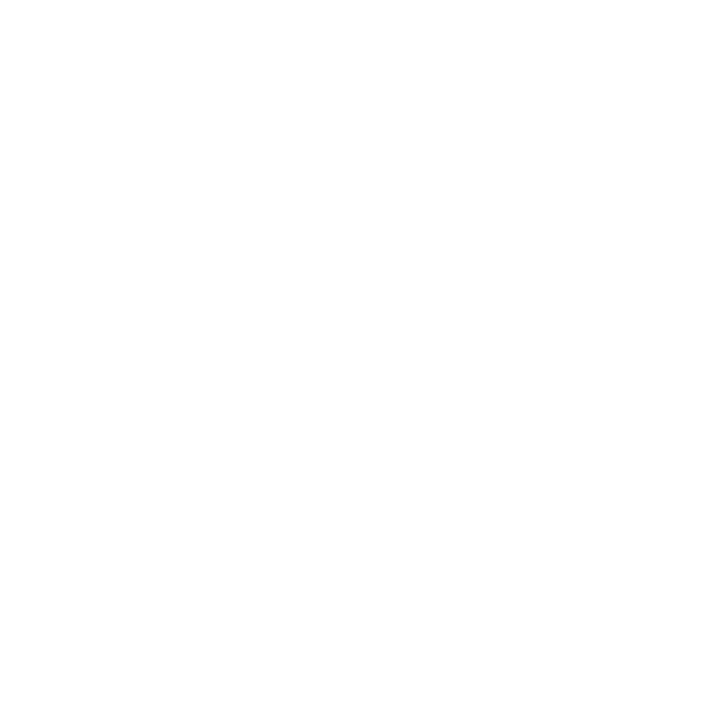 Step 4: Social Security & Healthcare